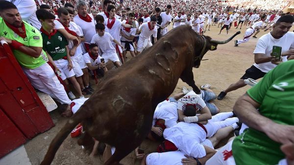 Detik-detik Banteng Lompati Kerumunan Peserta Festival San Fermin