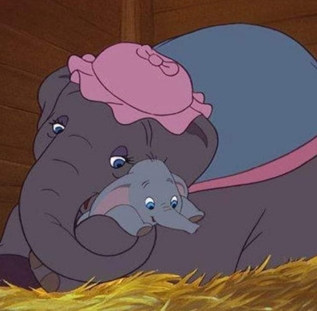 Dumbo/Foto: Instagram.com/mondo_disney__ Pesen buruk yang tersembunyi dalam film lawas Disney