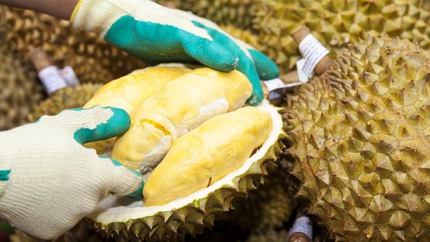 Durian premium