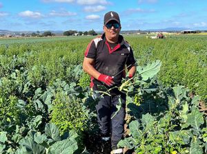 Harus Memperbarui Visa Tiap 6 Bulan, Nasib Pencari Suaka di Australia Penuh Ketidakpastian