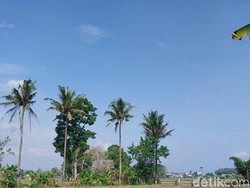 Hari Udara Bersih Sedunia 7 September, Ini Langkah yang Bisa Dilakukan