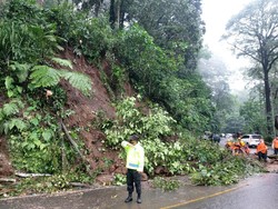 Tebing di Jalur Gumitir Longsor, Arus Lalin Sempat Macet