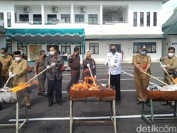 Barang bukti Ganja di Malang Dibakar, Sabu Diblender