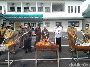 Barang bukti Ganja di Malang Dibakar, Sabu Diblender Barang bukti Ganja di Malang Dibakar, Sabu Diblender