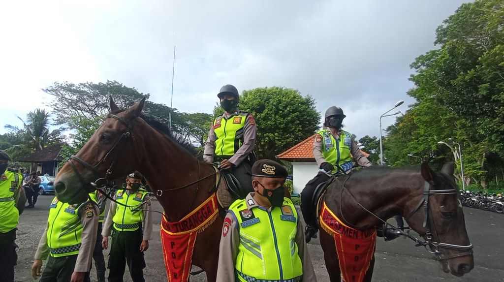 Melihat Kuda Belanda-Sumba Polda Bali untuk Patroli Keamanan G20 Melihat Kuda Belanda-Sumba Polda Bali untuk Patroli Keamanan G20
