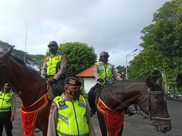 Melihat Kuda Belanda-Sumba Polda Bali untuk Patroli Keamanan G20