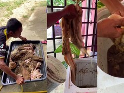 Ingin Hemat Waktu, Pria Ini Cuci Jeroan Sapi pakai Mesin Cuci