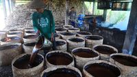 Mengintip Pembuatan Gula Merah Made In Kudus