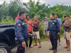 Pria di Kolaka Tega Bacok Anak dan Istri, Ngaku Dengar Bisikan Gaib