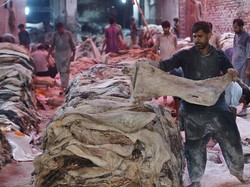 5 Syarat Sah Penyembelihan Hewan Lengkap dengan Tata Caranya