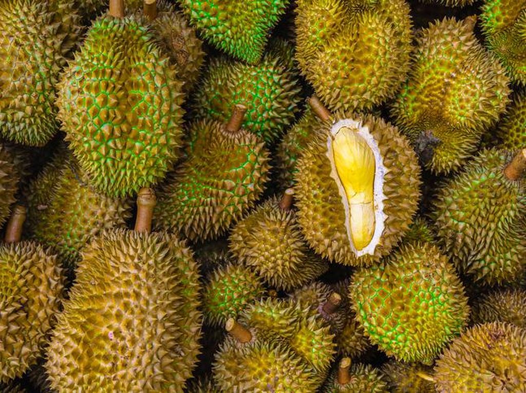 Warga Wonogiri Merapat! Ini Jadwal Festival Durian dan Kuliner Jadul di Alun-alun Warga Wonogiri Merapat! Ini Jadwal Festival Durian dan Kuliner Jadul di Alun-alun