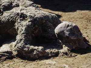 Kontroversi Batu Malin Kundang, Asli atau Tidak? Kontroversi Batu Malin Kundang, Asli atau Tidak?
