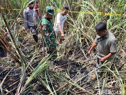 Kakek Tewas Terbakar Saat Bakar Daun di Ladang Tebu