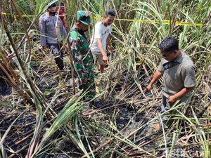 Kakek Tewas Terbakar Saat Bakar Daun di Ladang Tebu Kakek Tewas Terbakar Saat Bakar Daun di Ladang Tebu