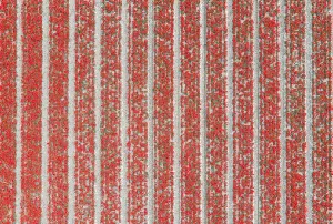 Indahnya Bikin Meleleh... Menjelajah Surganya Ladang Bunga di Belanda