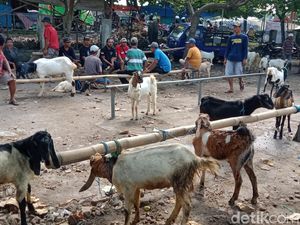 Usai Idul Adha, Pasar Hewan di Klaten Justru Lebih Ramai Usai Idul Adha, Pasar Hewan di Klaten Justru Lebih Ramai