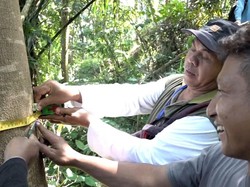 BPN Sebut Proses Pengukuran Lahan Kuari di Wadas Aman & Kondusif