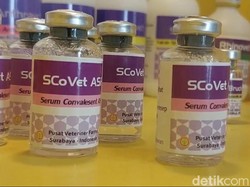 Pusvetma Akan Produksi 1 Juta Vaksin PMK Hingga Akhir Tahun