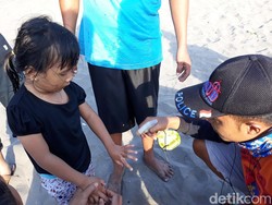 Aduh! Wisatawan Pantai Parangtritis Banyak yang Disengat Ubur-ubur