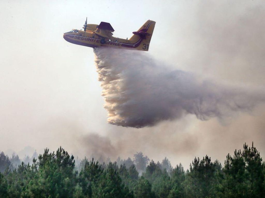 Foto Pemadaman Kebakaran Hutan di Prancis, Pesawat Udara Dikerahkan
