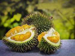 Ternyata Ini Alasan Bau Durian Menyengat
