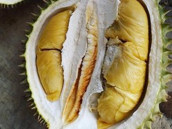 7 Manfaat Konsumsi Durian dan Efek Samping Jika Makan Berlebihan