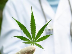 Beli Permen Ganja Medis untuk Insomnia, WN Jerman di Kaltara Dibui 5 Tahun