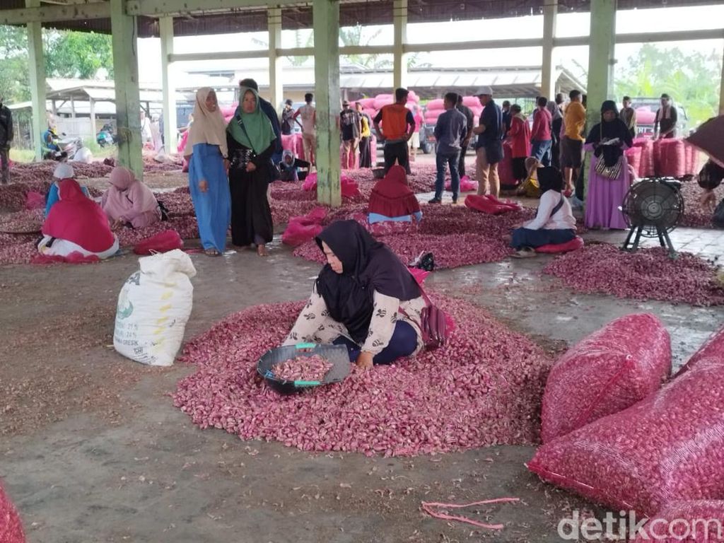 Harga Bawang Merah di Jakarta Tembus Rp 80.000/Kg, di Brebes Dijual Segini