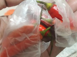 Harga Cabai Rawit di Pasuruan Nyaris Rp 500 Per Biji