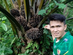 Petani di Bengkulu buat Sayembara Berhadiah 1 Hektare Kebun Sawit