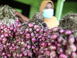 Bun, Harga Bawang Merah di Bandung Kini Rp 40 Ribu per Kg