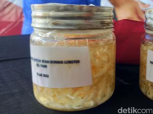 Penyelundupan 48 Ribu Benih Lobster di Tulungagung Digagalkan