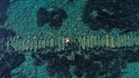 Ada Taman Arkeologi Bawah Laut di Siprus, Begini Penampakannya