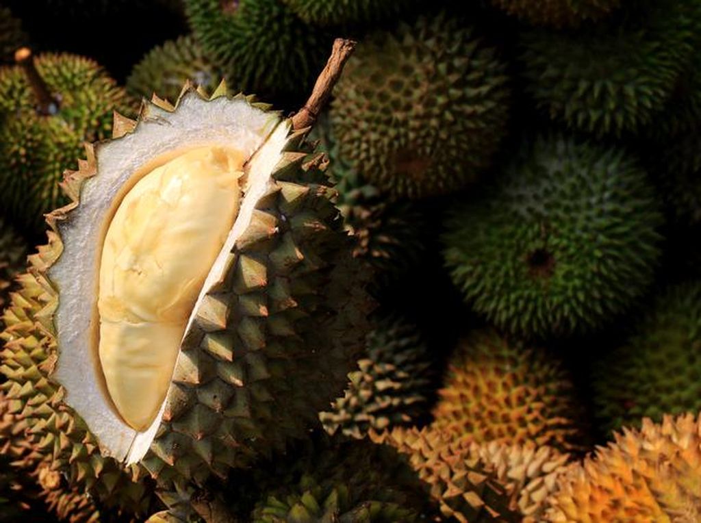 Alasan Durian Memiliki Aroma Tajam yang Tidak Ditemukan pada Buah Lain