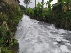 Sungai Gandekan di Magelang Dipenuhi Buih Putih, Banyak Ikan Mati