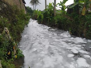 Sungai Gandekan di Magelang Dipenuhi Buih Putih, Banyak Ikan Mati Sungai Gandekan di Magelang Dipenuhi Buih Putih, Banyak Ikan Mati