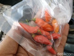 Cabai di Pasuruan Dijual Paketan 5.000 Dapat 10 Biji, Warga: Sekali Nyambel