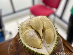 5 Durian Underrated Ini Ternyata Tak Kalah Enak dari yang Populer