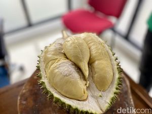 5 Durian Underrated Ini Ternyata Tak Kalah Enak dari yang Populer 5 Durian Underrated Ini Ternyata Tak Kalah Enak dari yang Populer