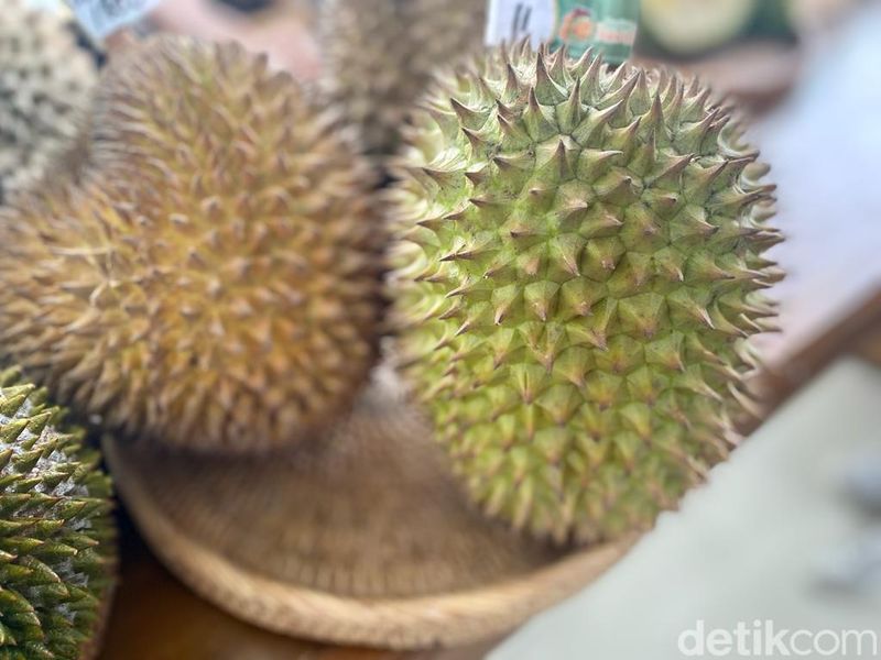 Durian Tai Babi