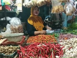 Pedas Banget! Harga Sebiji Cabai di Pasuruan Nyaris Rp 500
