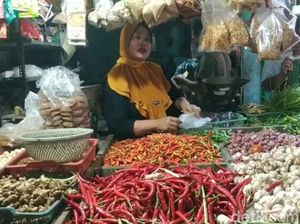 Pedas Banget! Harga Sebiji Cabai di Pasuruan Nyaris Rp 500 Pedas Banget! Harga Sebiji Cabai di Pasuruan Nyaris Rp 500