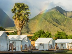 Camping Ternyata Berdampak Positif untuk Kesehatan Mental, Ini Hasil Temuan Peneliti