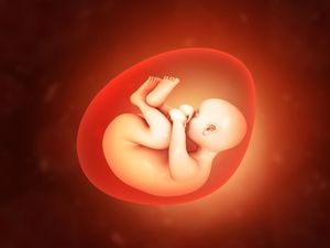 Jasad Janin 7 Bulan-Kondisi Terbakar Ditemukan di Pasar Sentral Makassar