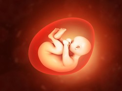 Jasad Janin 7 Bulan-Kondisi Terbakar Ditemukan di Pasar Sentral Makassar