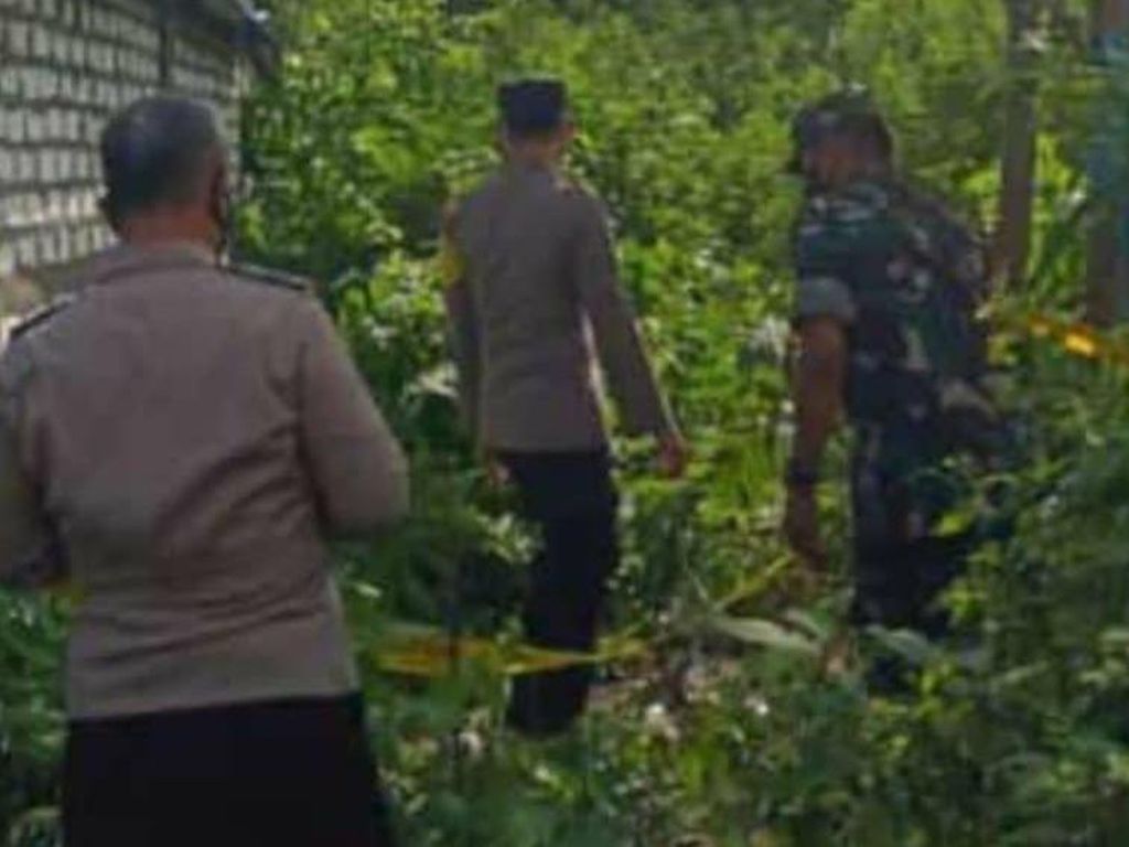 Pencari Rumput di Lamongan Temukan Gundukan Isi Tulang Terbungkus Kafan Pencari Rumput di Lamongan Temukan Gundukan Isi Tulang Terbungkus Kafan