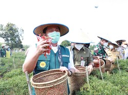 Peran Gerakan Sumsel Mandiri Pangan dalam Penurunan Angka Kemiskinan