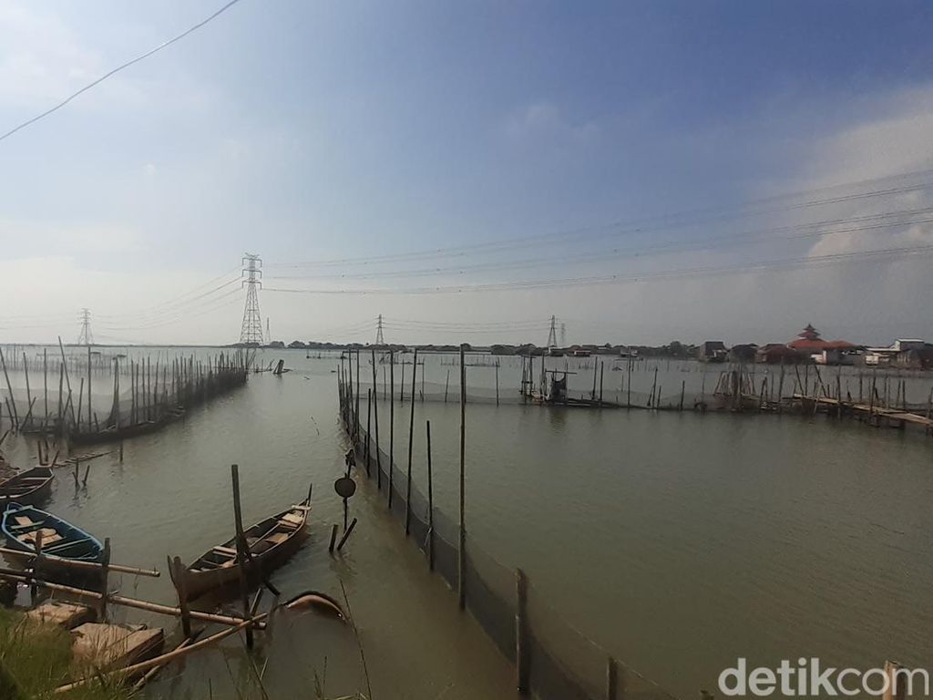 Penampakan Tanah Musnah yang Jadi Kendala Proyek Tol Semarang-Demak Penampakan Tanah Musnah yang Jadi Kendala Proyek Tol Semarang-Demak