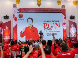Punya Struktur Politik Solid, Puan Dinilai Layak Maju di Pilpres 2024