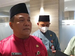 Kebutuhan Tinggi, Riau Akan Kembangkan Sapi di Kebun Sawit